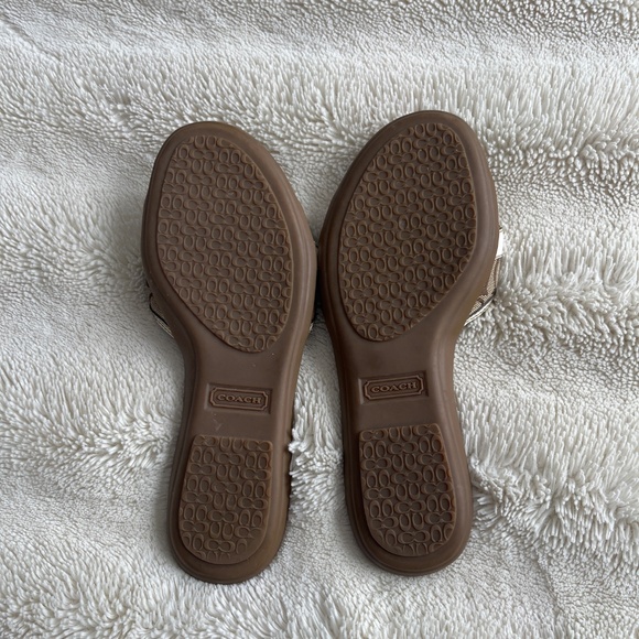 Coach slides - Picture 2 of 3